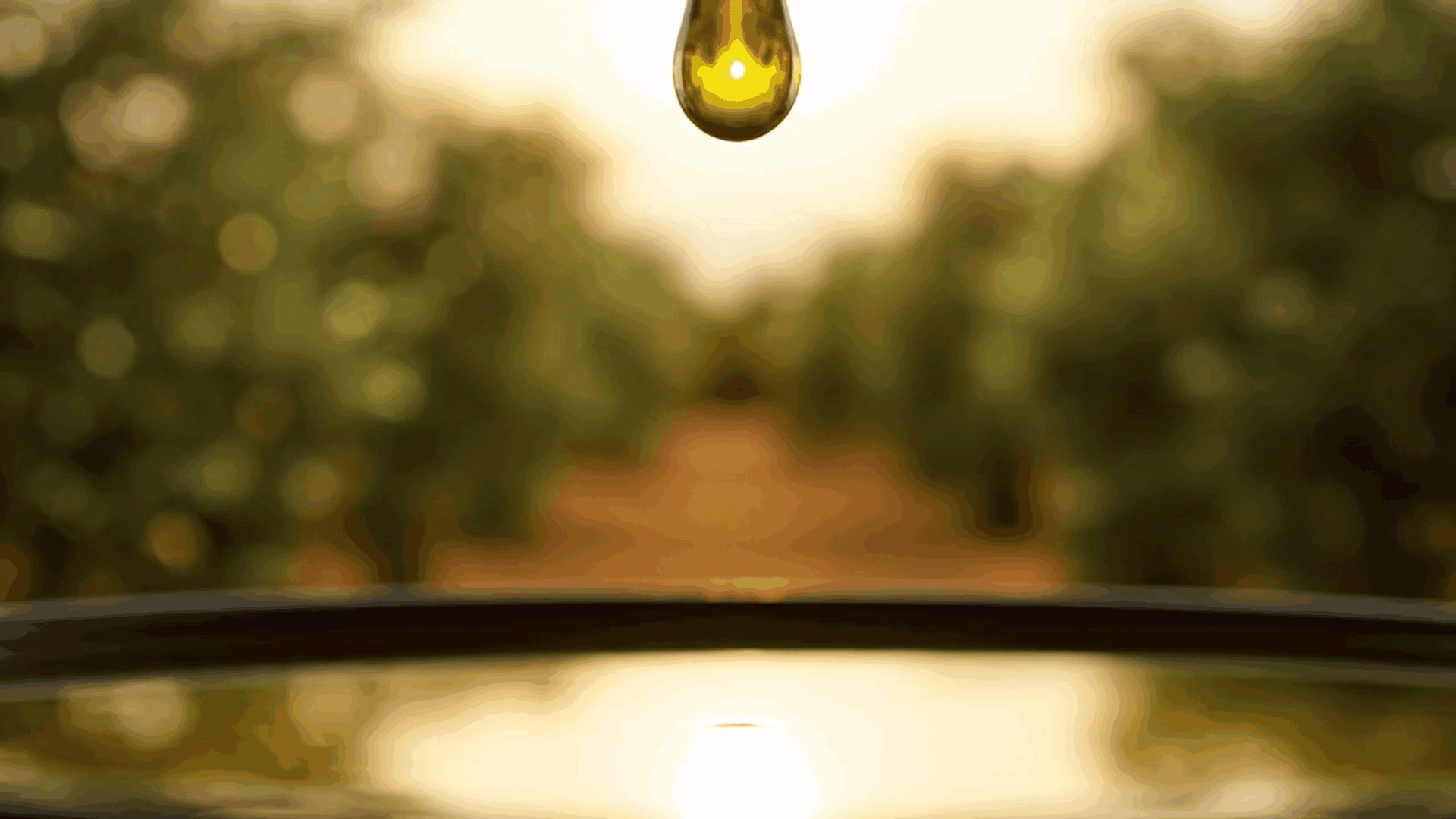 Olive oil drop animation